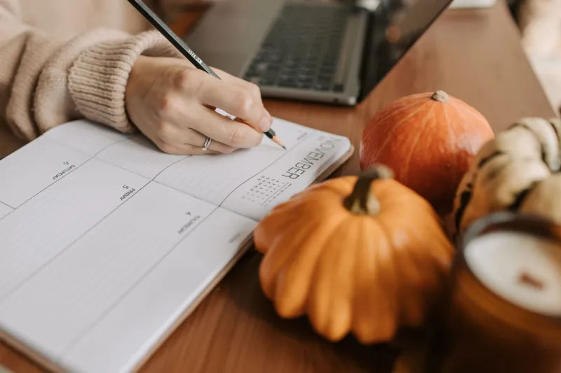 Playing the Calendar: How Smart Players Use Seasonal Rhythms to Get More From Every Session